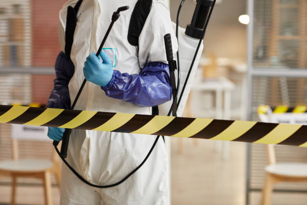 Professional Blood Cleanup technician working in Olympia, WA